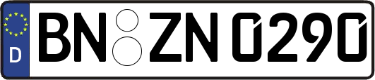 BN-ZN0290