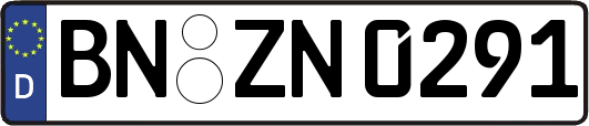BN-ZN0291