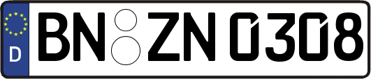 BN-ZN0308