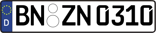 BN-ZN0310