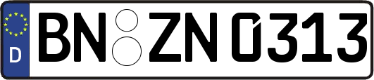 BN-ZN0313
