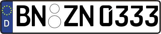 BN-ZN0333