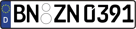 BN-ZN0391