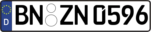 BN-ZN0596