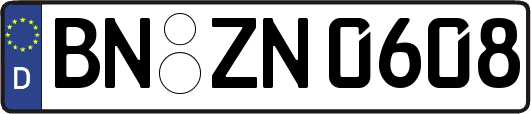 BN-ZN0608