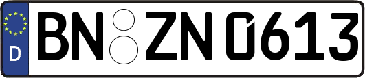 BN-ZN0613