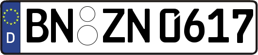 BN-ZN0617