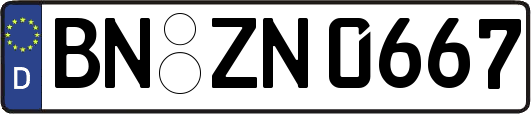 BN-ZN0667