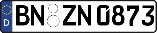BN-ZN0873