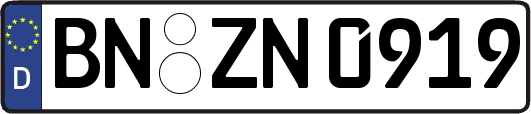 BN-ZN0919