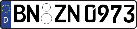 BN-ZN0973