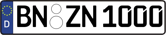 BN-ZN1000