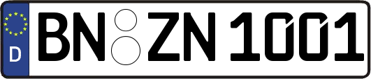 BN-ZN1001