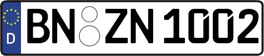 BN-ZN1002