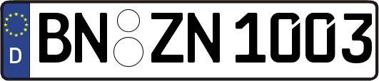 BN-ZN1003