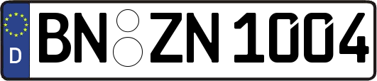 BN-ZN1004