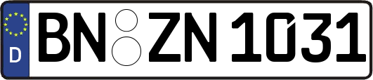 BN-ZN1031