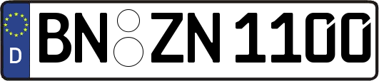 BN-ZN1100
