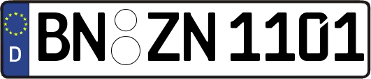 BN-ZN1101