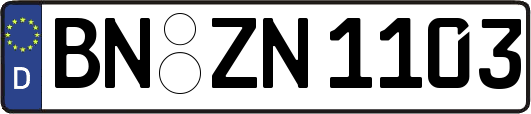 BN-ZN1103