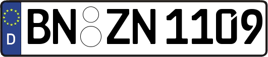 BN-ZN1109