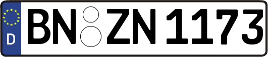 BN-ZN1173