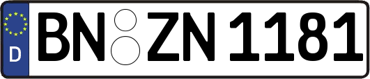 BN-ZN1181