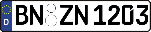 BN-ZN1203