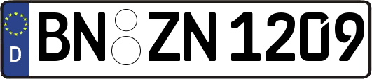 BN-ZN1209