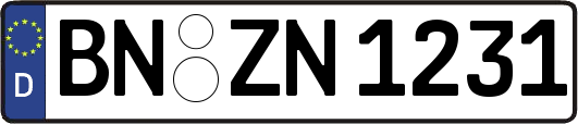 BN-ZN1231