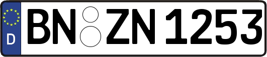 BN-ZN1253