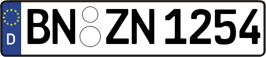 BN-ZN1254
