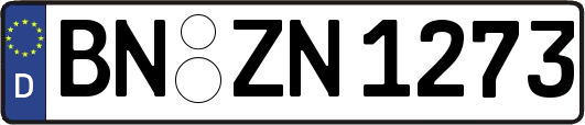 BN-ZN1273
