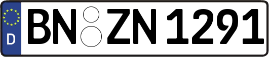 BN-ZN1291