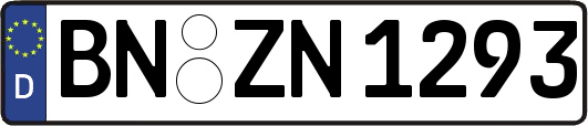 BN-ZN1293