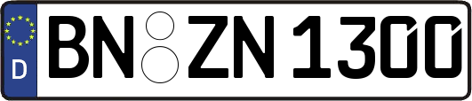 BN-ZN1300