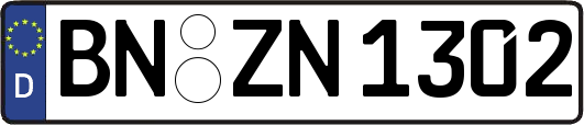 BN-ZN1302