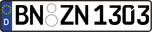 BN-ZN1303