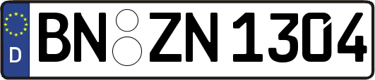 BN-ZN1304