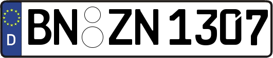 BN-ZN1307