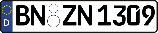 BN-ZN1309