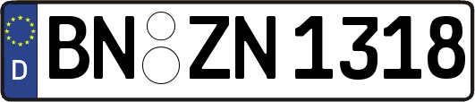 BN-ZN1318