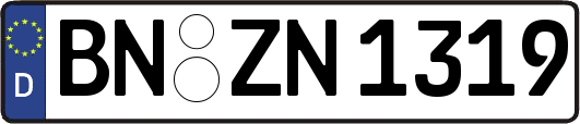 BN-ZN1319