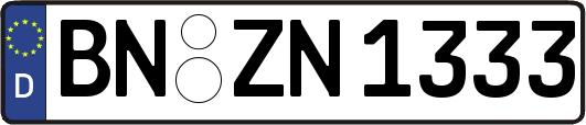 BN-ZN1333