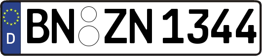 BN-ZN1344