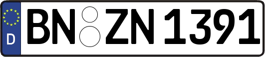 BN-ZN1391