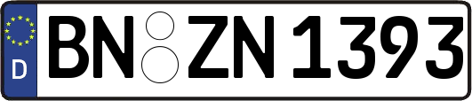 BN-ZN1393