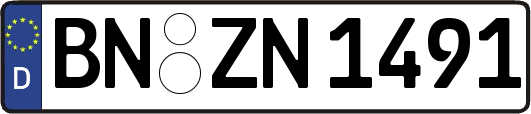 BN-ZN1491
