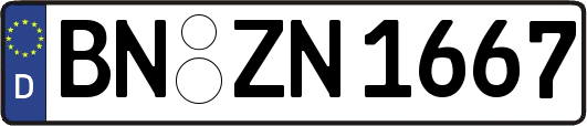 BN-ZN1667