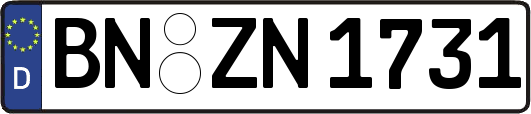 BN-ZN1731